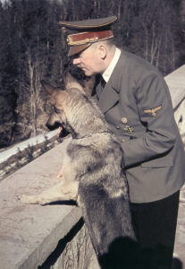Adolf Hitler z suczką Blondi